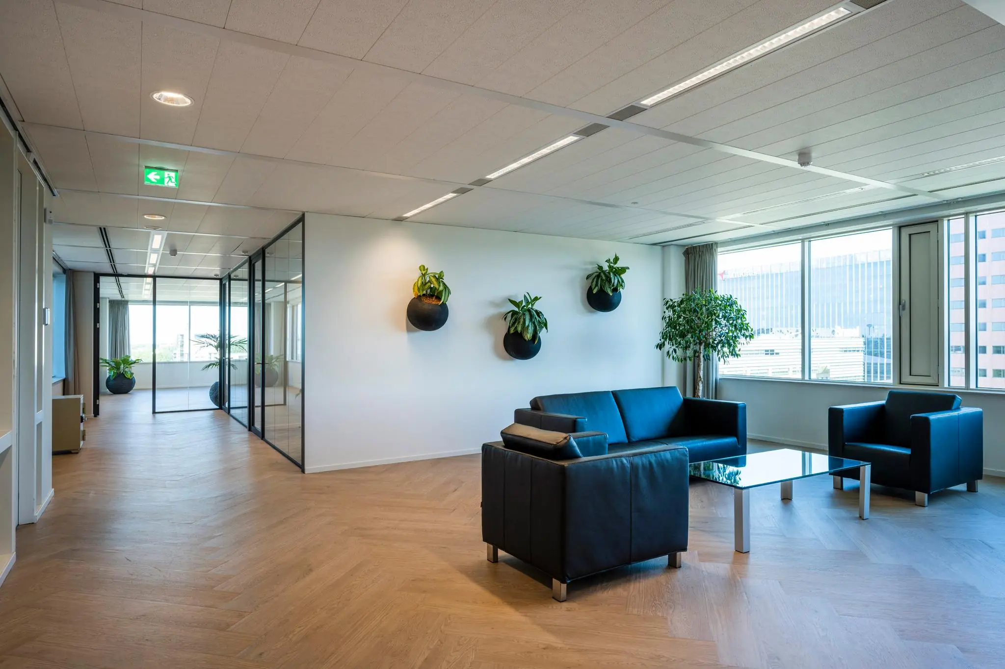 Moderne wachtruimte in een kantoorpand aan de Thomas R. Malthusstraat met zwarte zithoek, glazen vergaderruimtes en hangplanten aan de muur.